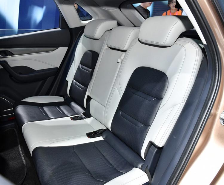 威马EX5-2020款 EX5-Z Nex探索版