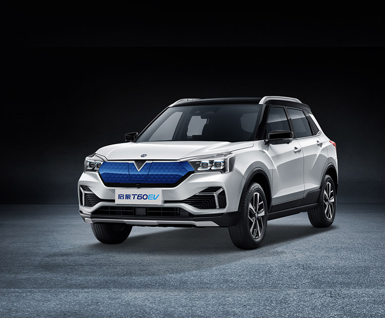 启辰-启辰T60 EV