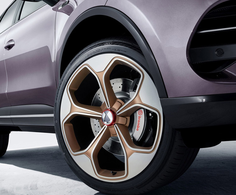 腾势-腾势X 纯电动