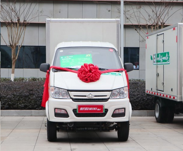 长安跨越-长安跨越 新豹MINI EV