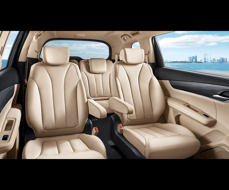 比亚迪-比亚迪宋MAX DM