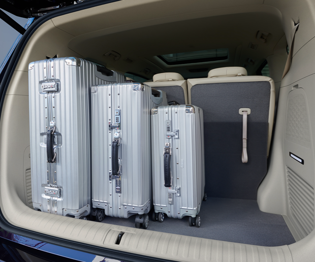 岚图汽车-岚图汽车-梦想家