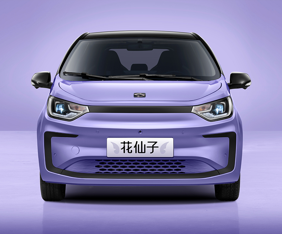 江汽集团-江汽 花仙子