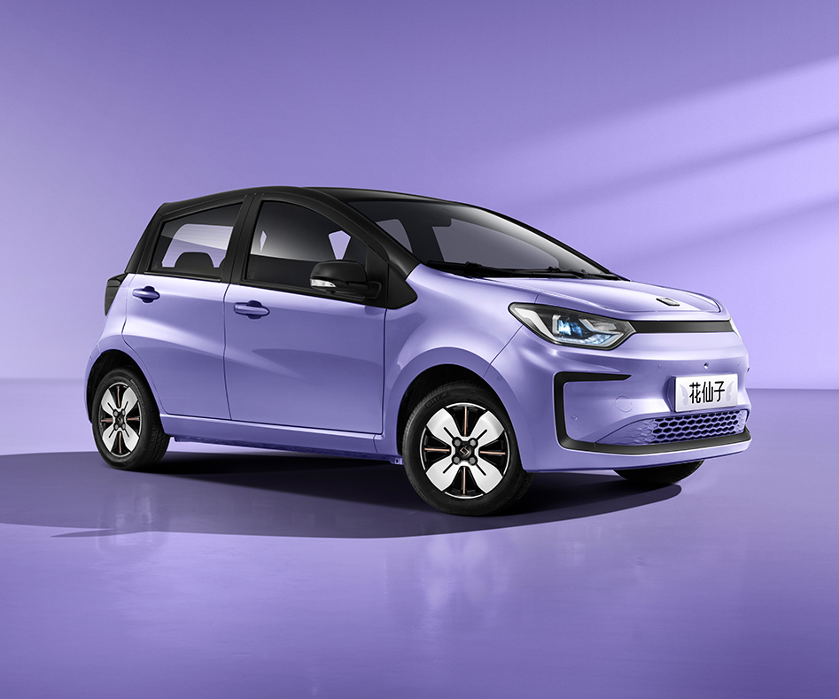 江汽集团-江汽 花仙子