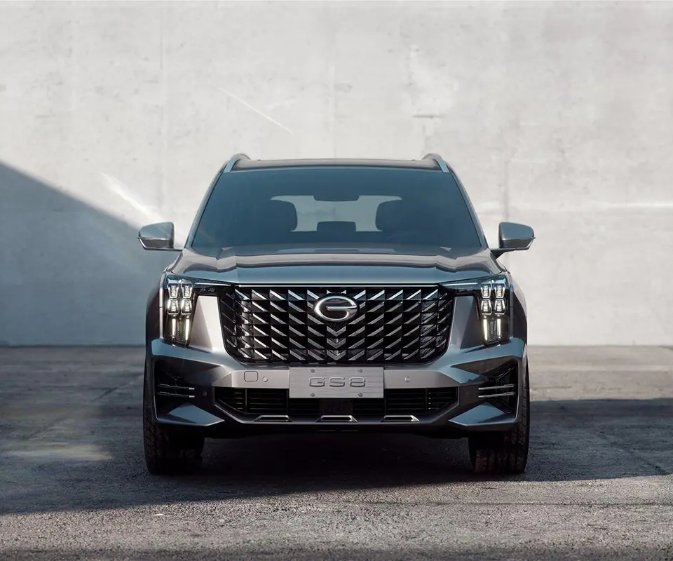 广汽传祺传祺GS8-2024款 双擎系列 2.0TM 两驱尊贵版