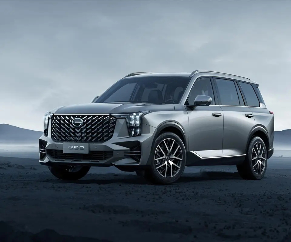 广汽传祺传祺GS8-2024款 双擎系列 2.0TM 两驱尊贵版