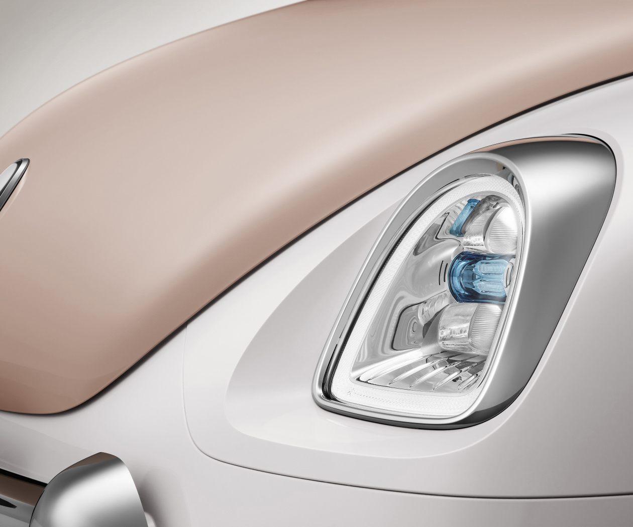 欧拉-欧拉芭蕾猫