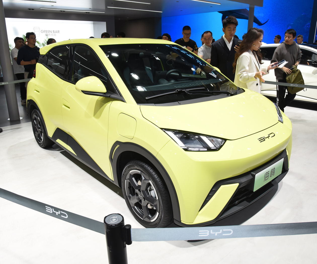 比亚迪-比亚迪海鸥