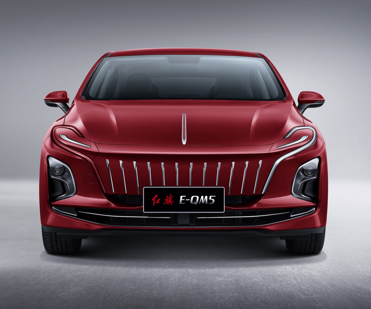 红旗E-QM5-红旗E-QM5 2025款 500km 出行版