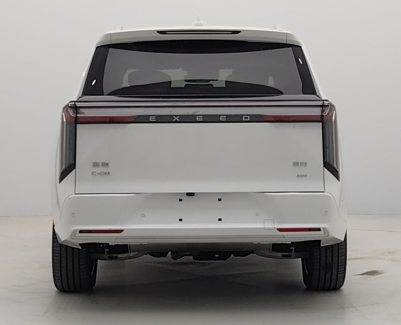 星途-星途揽月C-DM