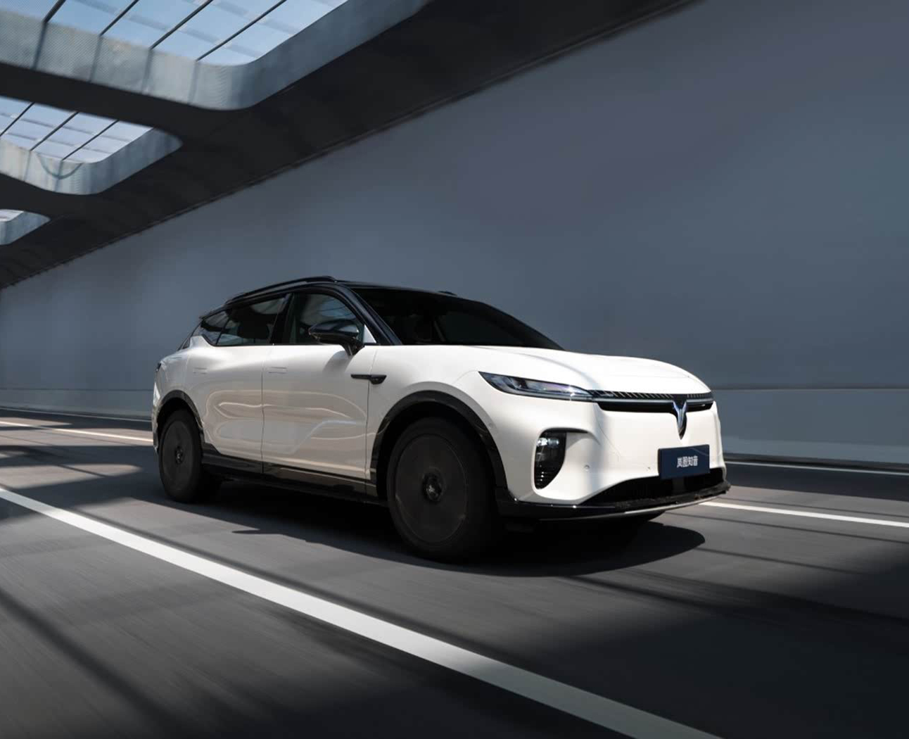 岚图汽车-岚图知音