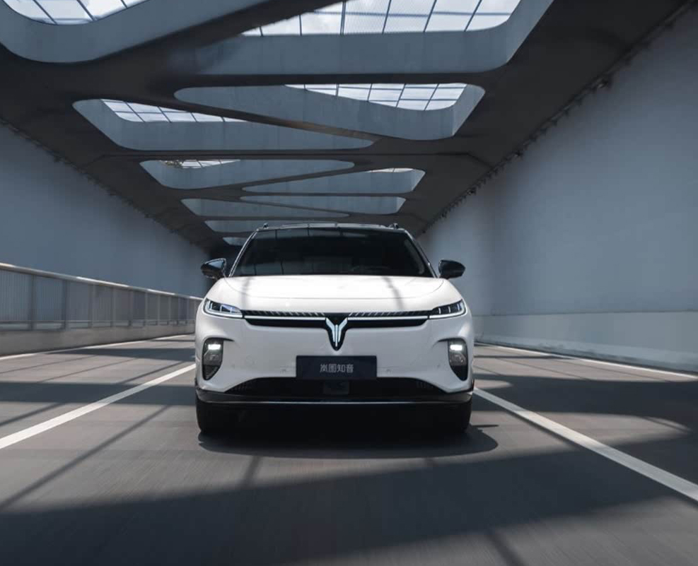 岚图汽车-岚图知音