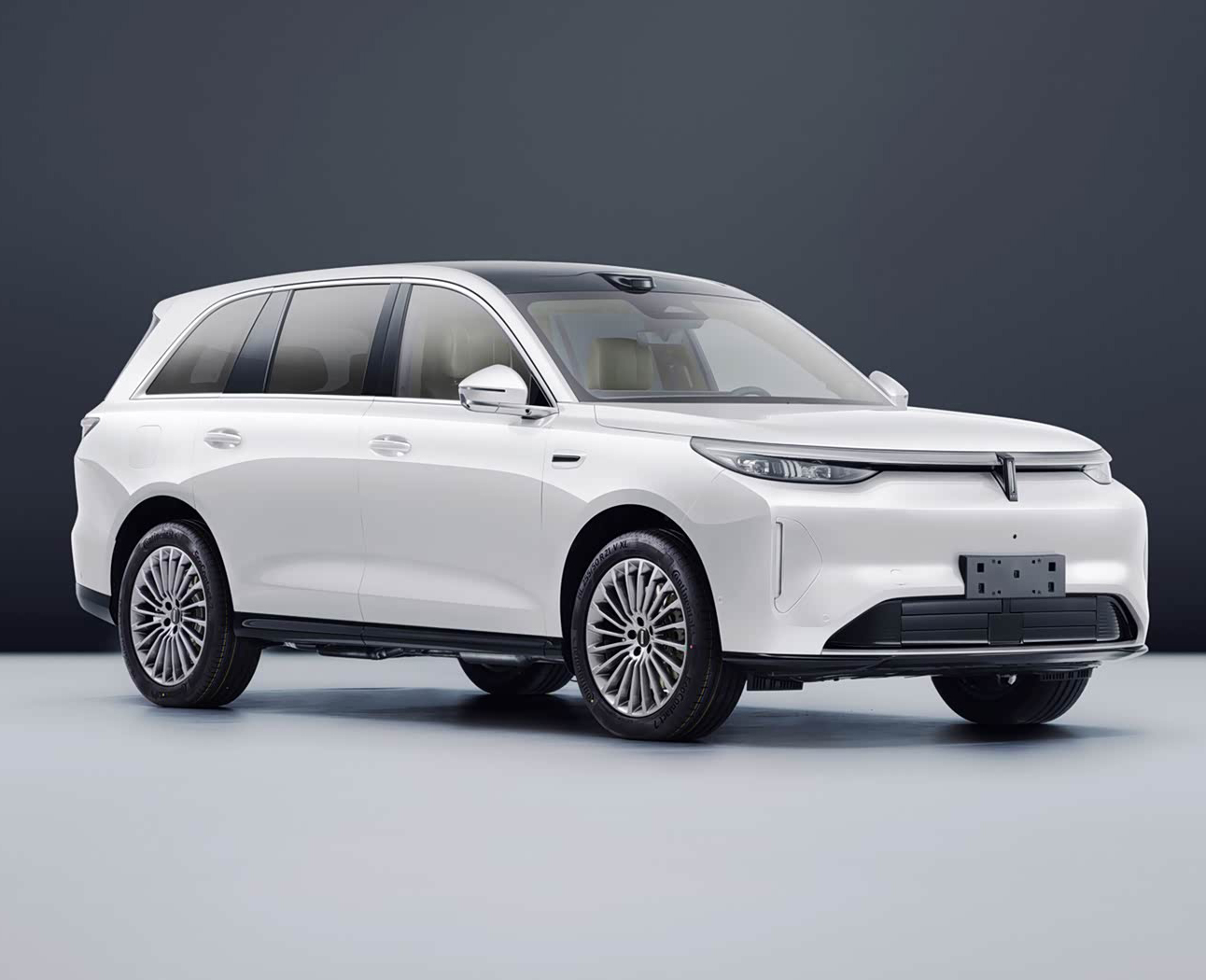 长城汽车-长城汽车-魏牌 V8X