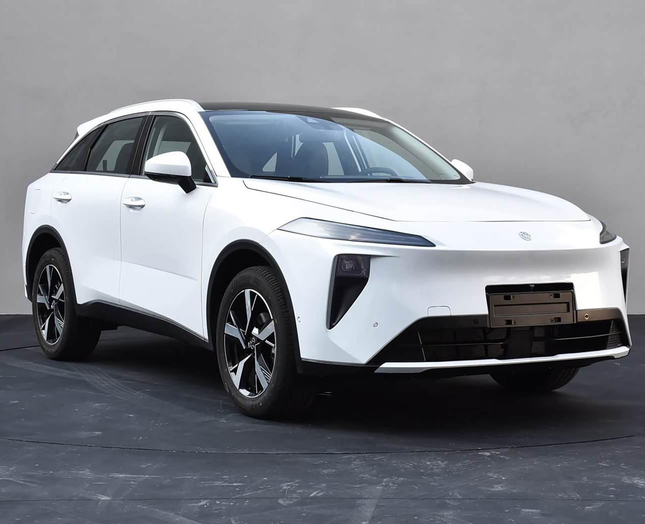 启辰大V DD-i-启辰大V DD-i 2026款 虎鲸 150km 畅游版