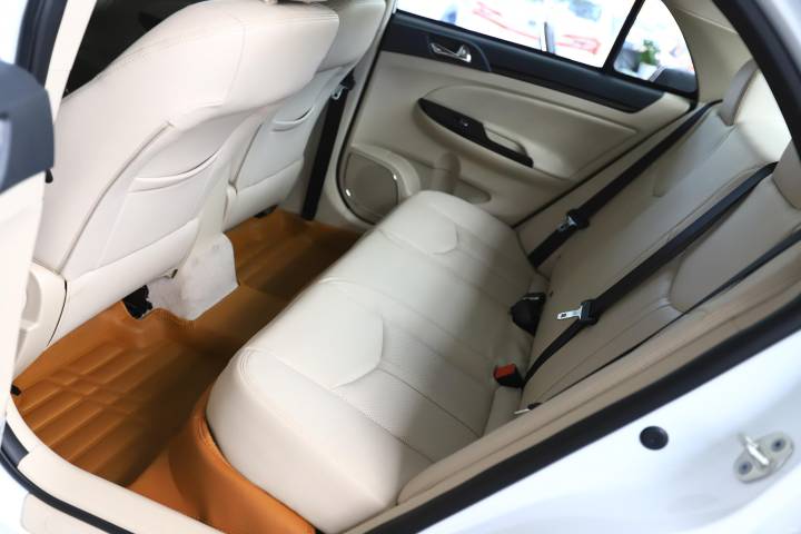 比亚迪-比亚迪e5