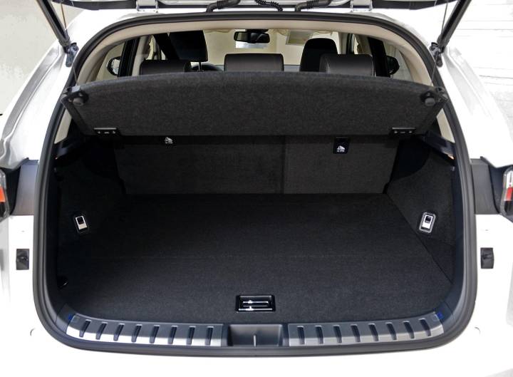 雷克萨斯-雷克萨斯NX