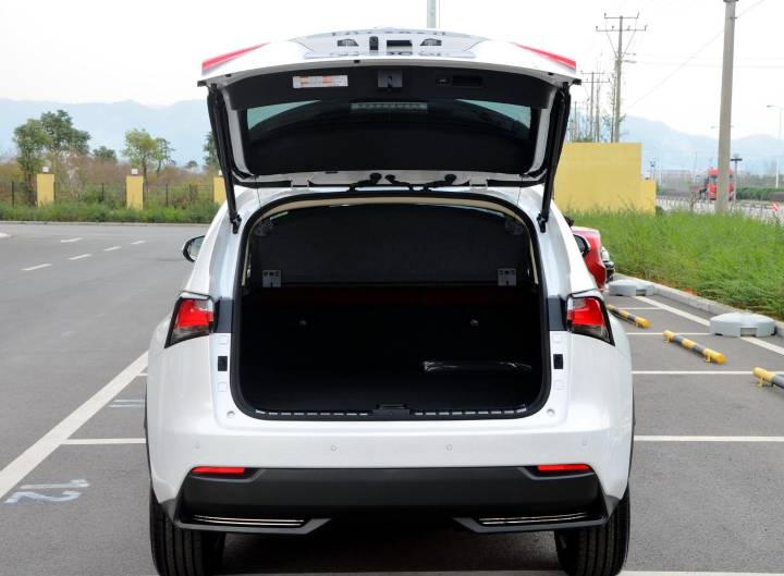 雷克萨斯-雷克萨斯NX