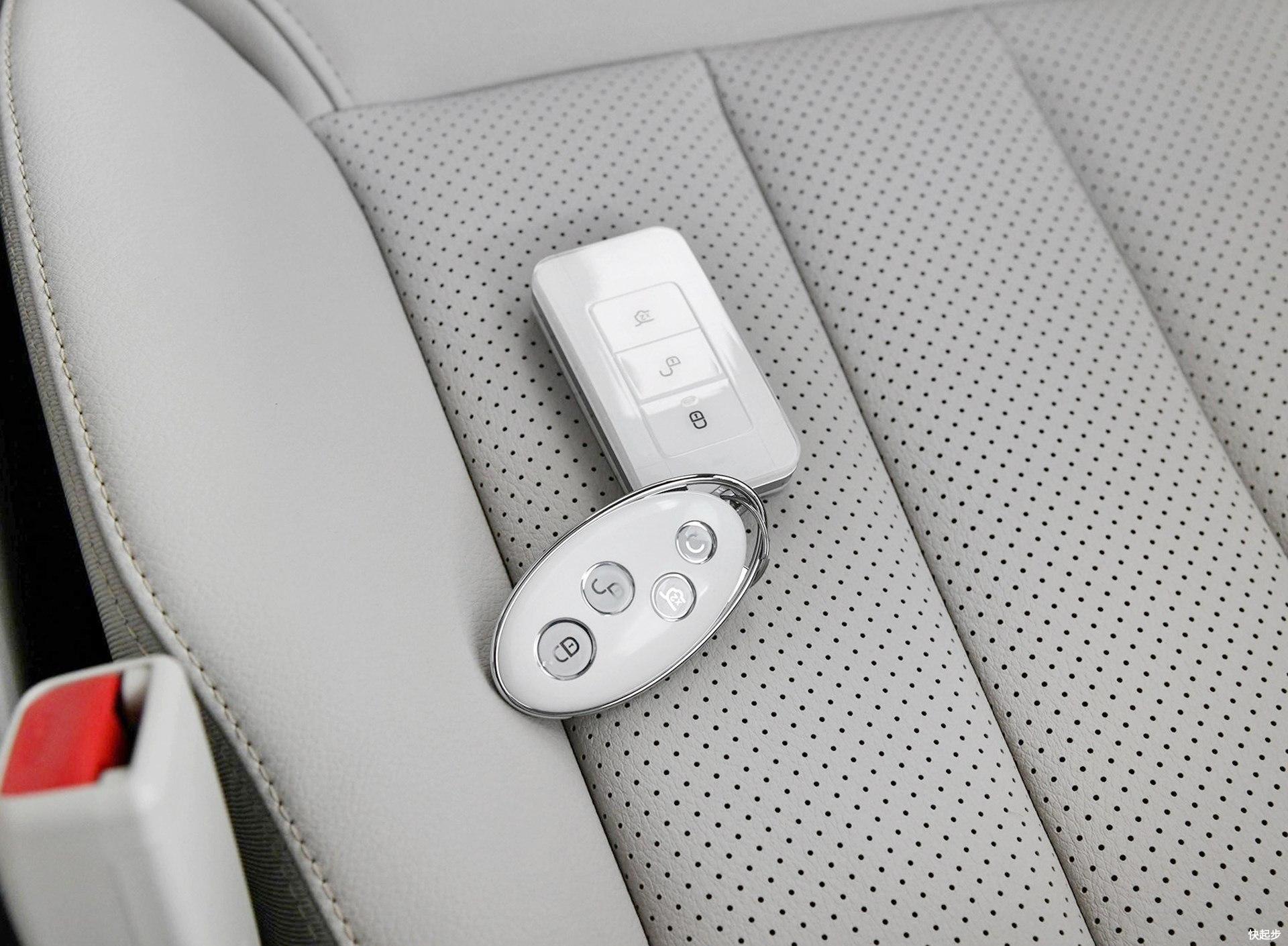 比亚迪-比亚迪宋MAX DM