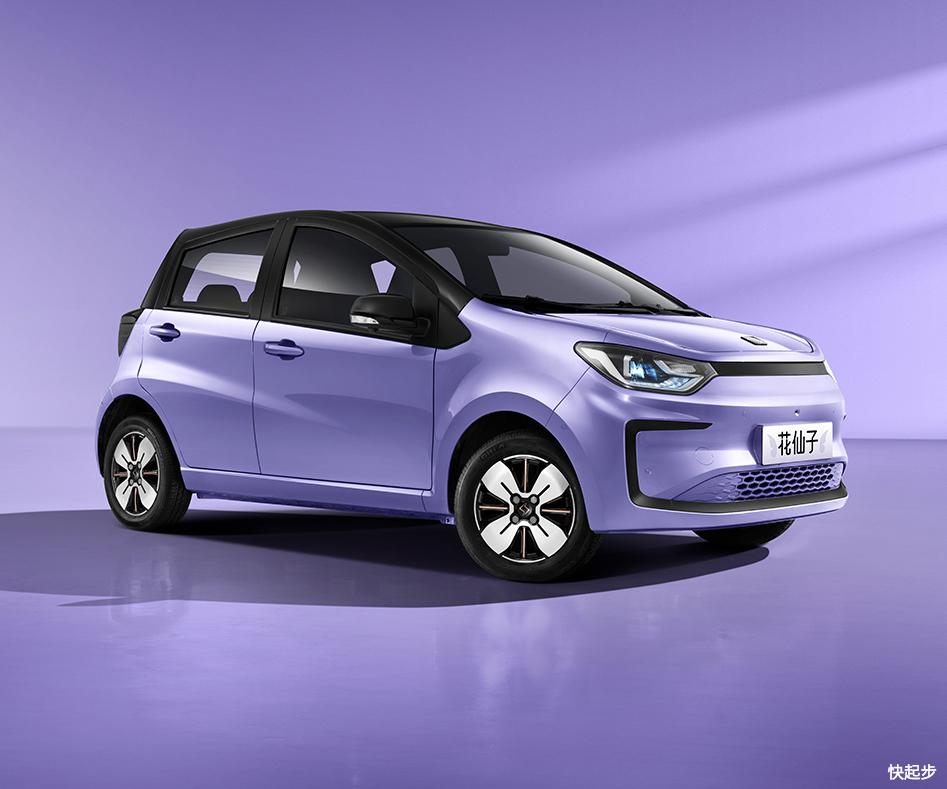 江汽集团-江汽 花仙子