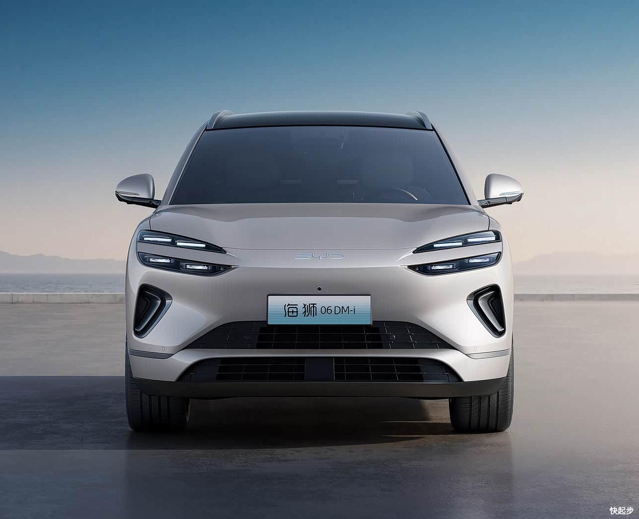比亚迪-比亚迪-海狮06新能源