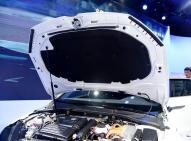 大众高尔夫(进口)新能源