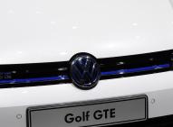 大众-高尔夫(进口)新能源