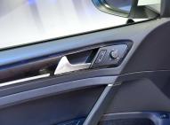 大众高尔夫(进口)新能源