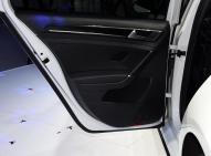 大众高尔夫(进口)新能源