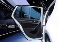 大众高尔夫(进口)新能源