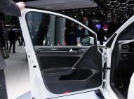 大众高尔夫(进口)新能源