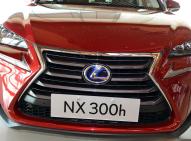 雷克萨斯雷克萨斯NX