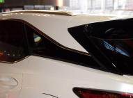 雷克萨斯-雷克萨斯RX