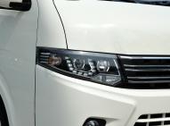 金旅-大海狮新能源