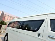 金旅-大海狮新能源