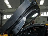 迈凯伦-迈凯伦P1