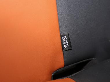 红星汽车-闪闪X2