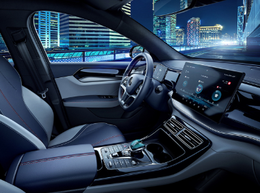 比亚迪-比亚迪秦PLUS DM-i