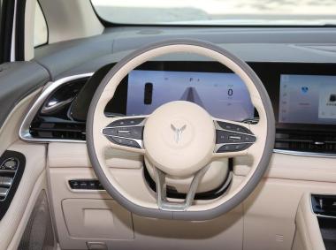 岚图汽车-岚图汽车-梦想家