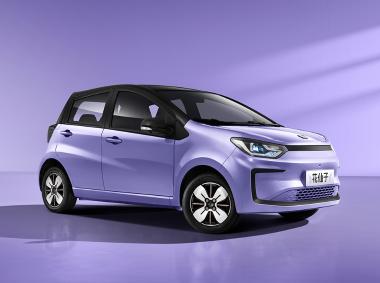 江汽集团-江汽 花仙子