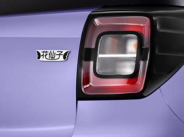 江汽集团-江汽 花仙子