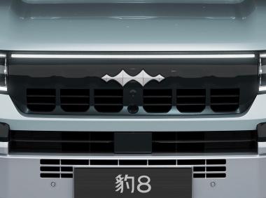 方程豹-方程豹-豹8