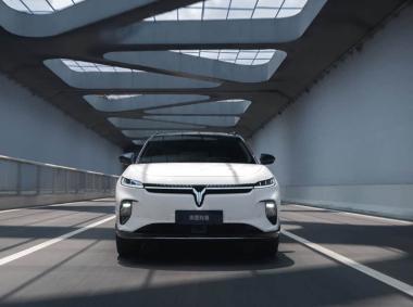 岚图汽车-岚图知音