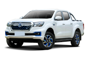 东风汽车-东风锐骐6 EV