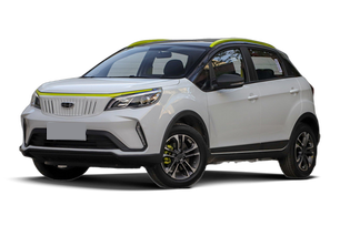 吉利几何 EX3 功夫牛