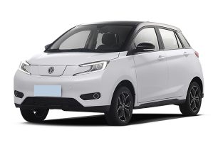 电动屋-YOUNG光小新