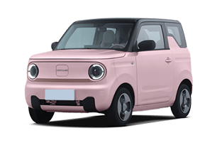 吉利汽车-吉利熊猫mini