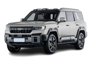 方程豹-方程豹-豹8