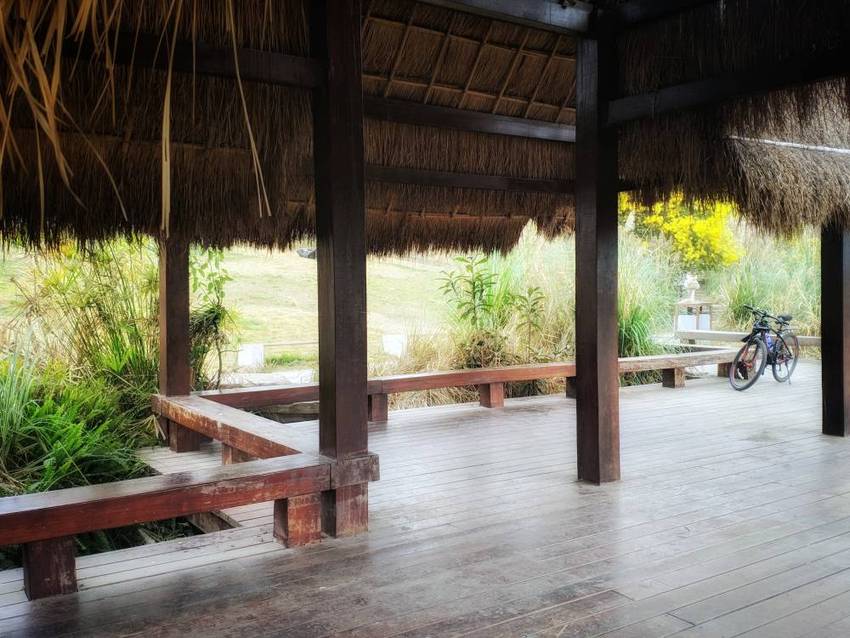 中和，湿地公园一瞥