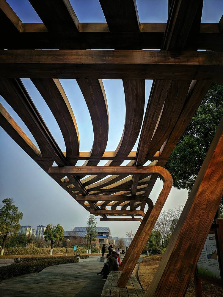 立春，喝茶晒太阳~小枧湿地公园