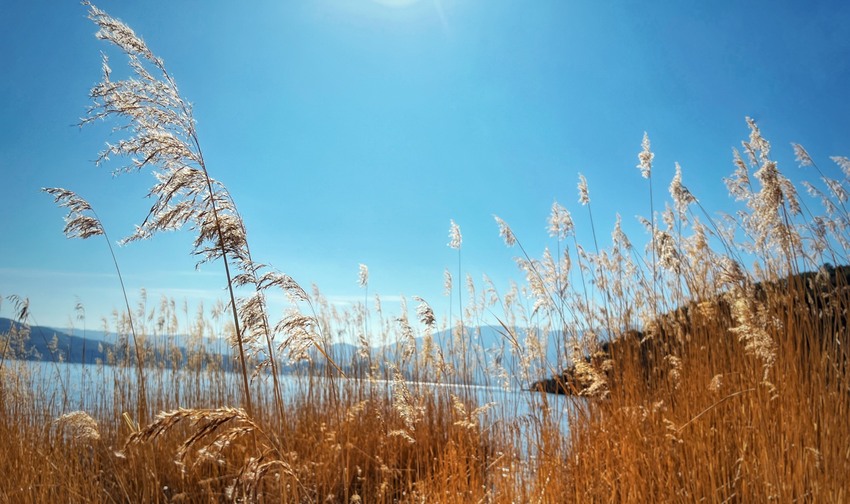 春节泸沽湖丽江行2023